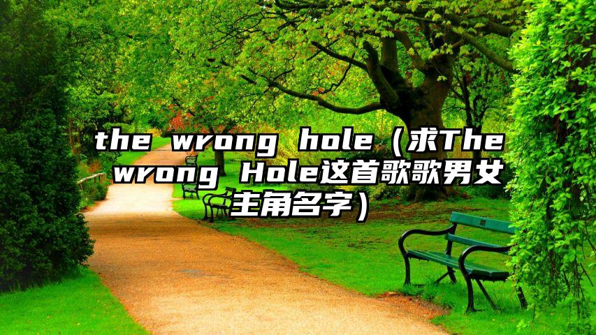 the wrong hole（求The wrong Hole这首歌歌男女主角名字）