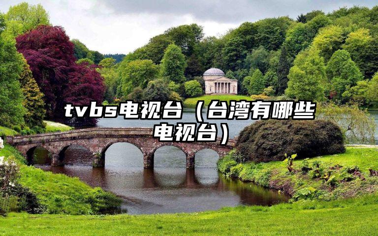 tvbs电视台（台湾有哪些电视台）