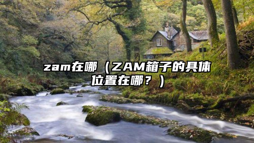 zam在哪（ZAM箱子的具体位置在哪？）