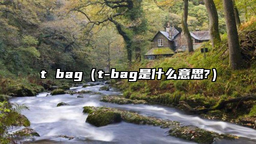 t bag（t-bag是什么意思?）