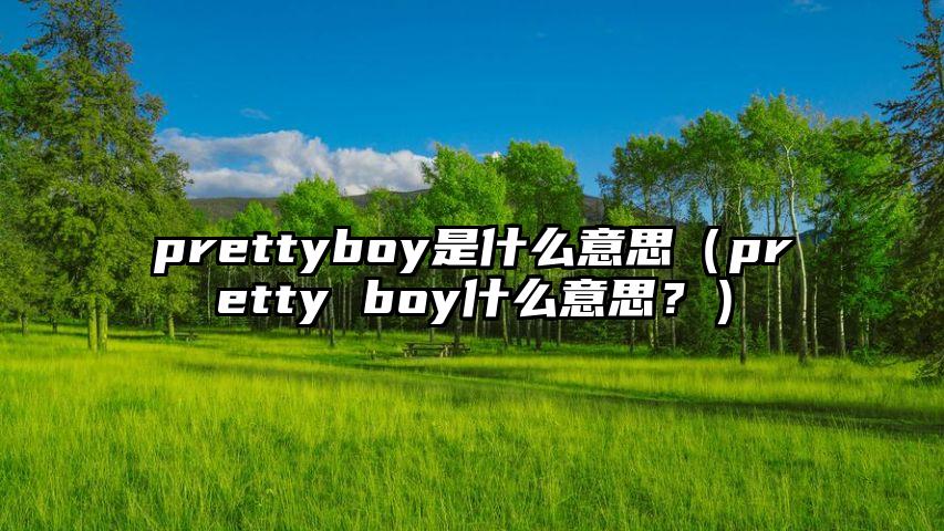 prettyboy是什么意思（pretty boy什么意思？）