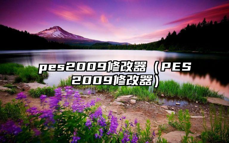 pes2009修改器（PES2009修改器）