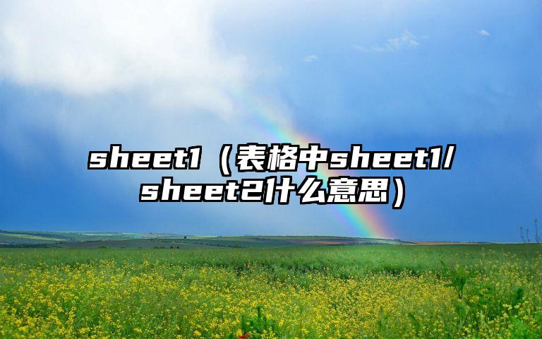 sheet1（表格中sheet1/sheet2什么意思）