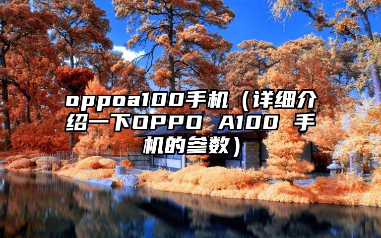 oppoa100手机（详细介绍一下OPPO A100 手机的参数）