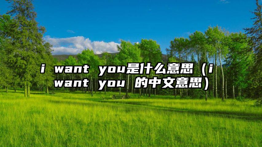 i want you是什么意思（i want you 的中文意思）