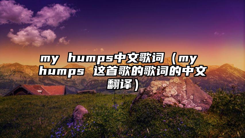 my humps中文歌词（my humps 这首歌的歌词的中文翻译）