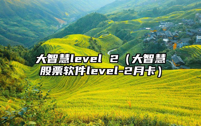 大智慧level 2（大智慧股票软件level-2月卡）