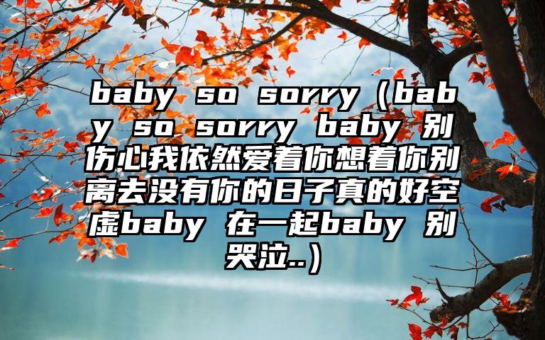 baby so sorry（baby so sorry baby 别伤心我依然爱着你想着你别离去没有你的日子真的好空虚baby 在一起baby 别哭泣..）
