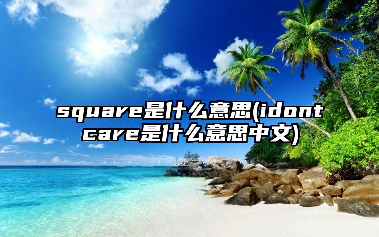 square是什么意思(idontcare是什么意思中文)