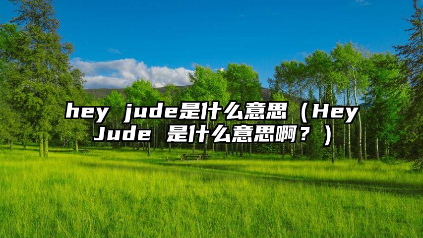 hey jude是什么意思（HeyJude 是什么意思啊？）