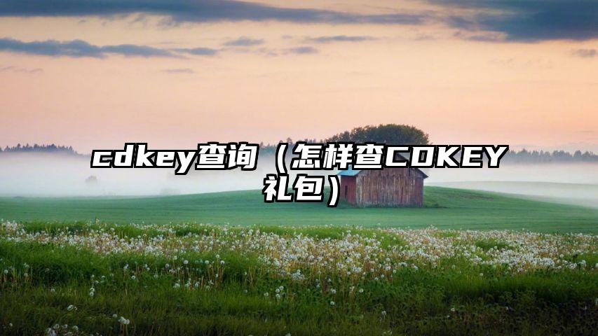 cdkey查询（怎样查CDKEY礼包）