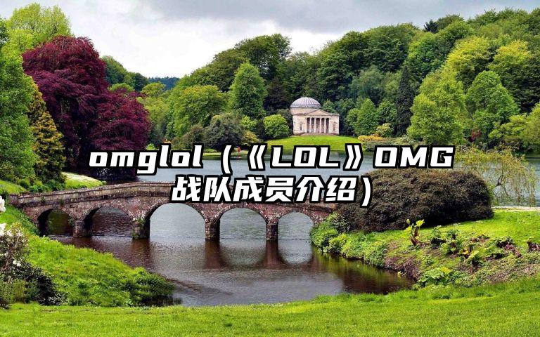 omglol（《LOL》OMG战队成员介绍）