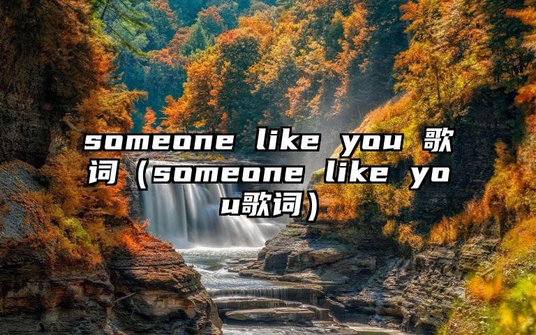 someone like you 歌词（someone like you歌词）