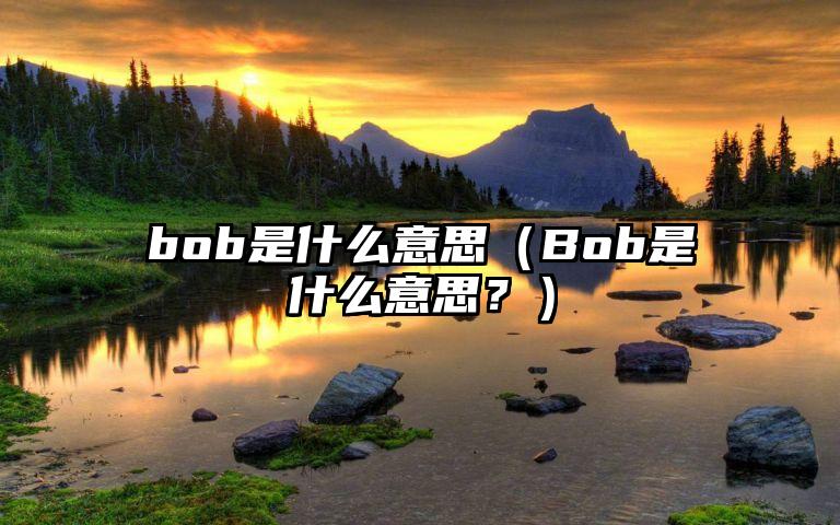 bob是什么意思（Bob是什么意思？）