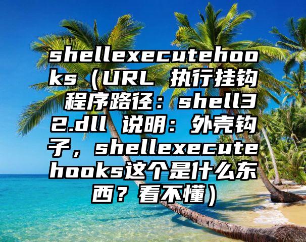 shellexecutehooks（URL 执行挂钩 程序路径：shell32.dll 说明：外壳钩子，shellexecutehooks这个是什么东西？看不懂）