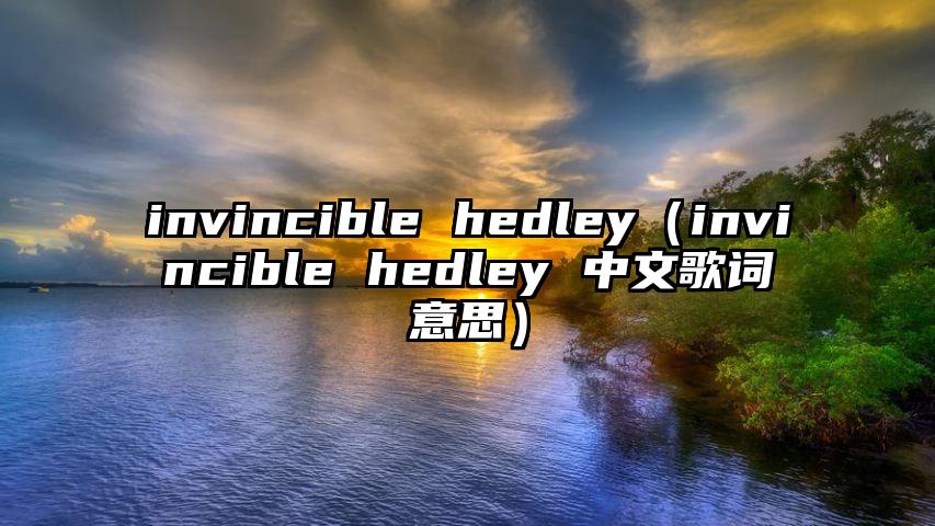 invincible hedley（invincible hedley 中文歌词意思）