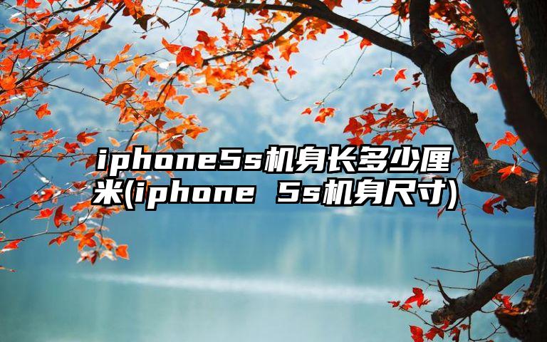 iphone5s机身长多少厘米(iphone 5s机身尺寸)
