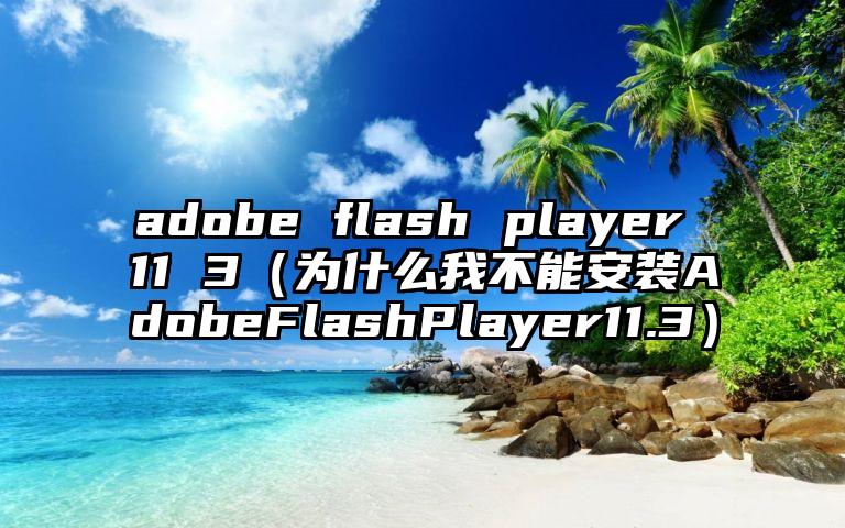 adobe flash player 11 3（为什么我不能安装AdobeFlashPlayer11.3）