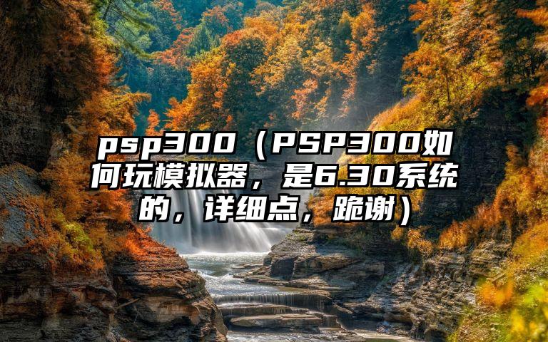 psp300（PSP300如何玩模拟器，是6.30系统的，详细点，跪谢）