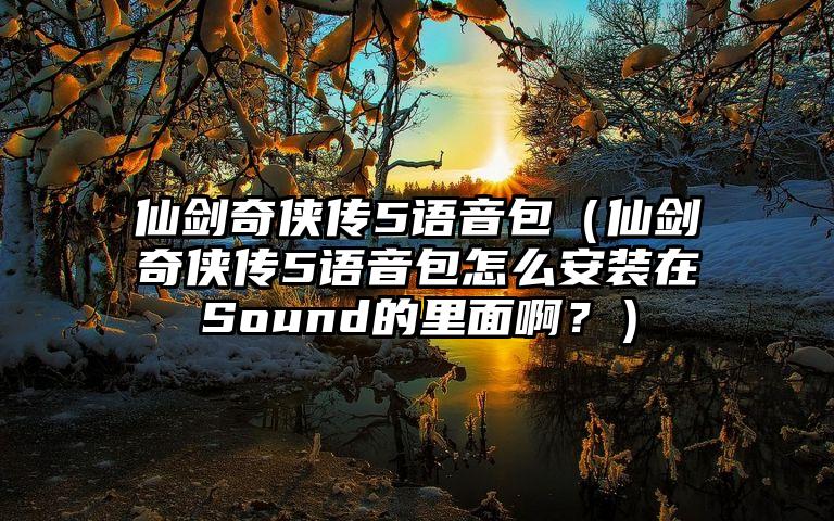 仙剑奇侠传5语音包（仙剑奇侠传5语音包怎么安装在Sound的里面啊？）
