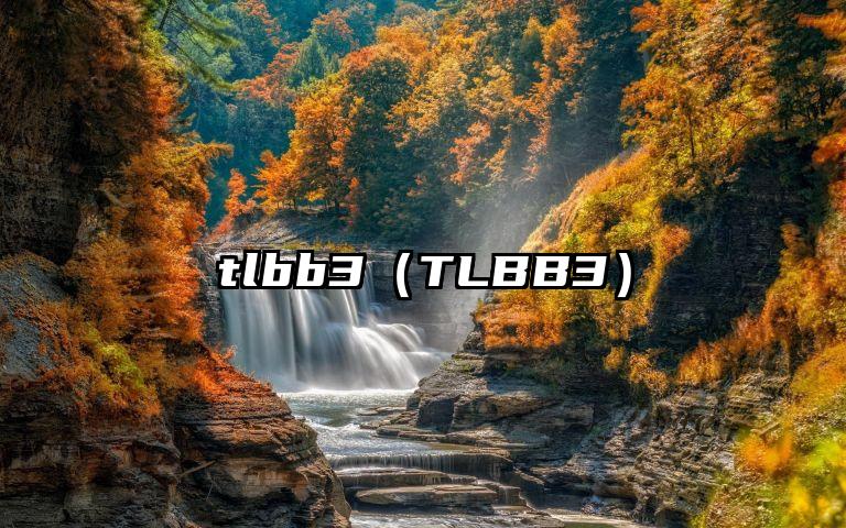 tlbb3（TLBB3）