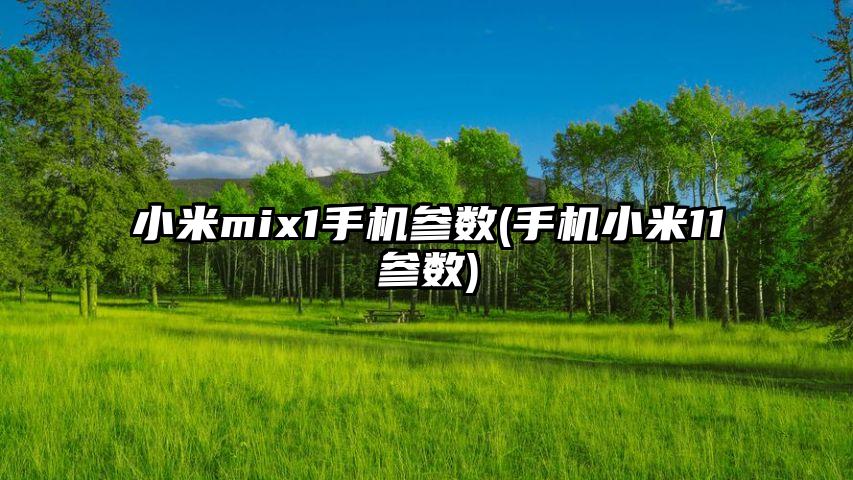 小米mix1手机参数(手机小米11参数)
