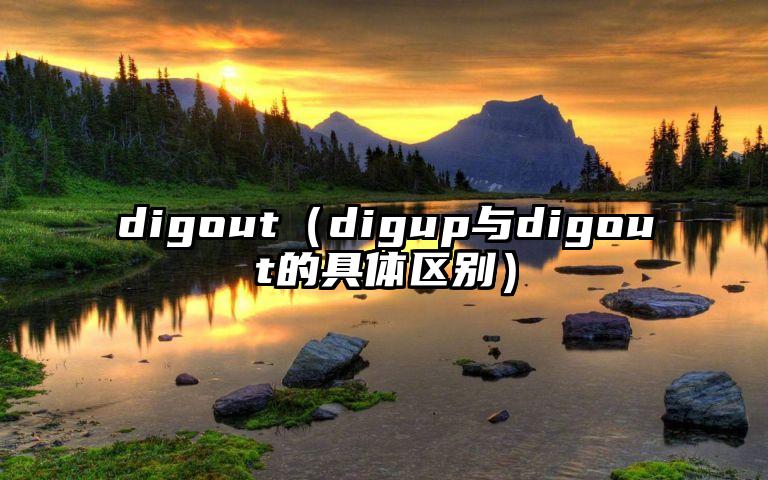digout（digup与digout的具体区别）