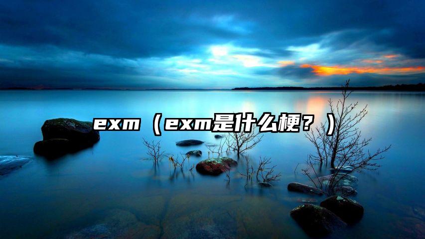 exm（exm是什么梗？）