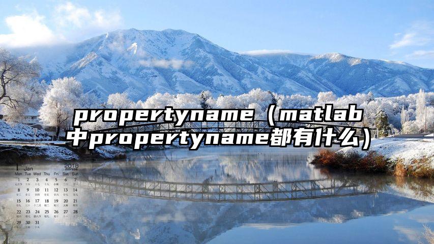 propertyname（matlab中propertyname都有什么）