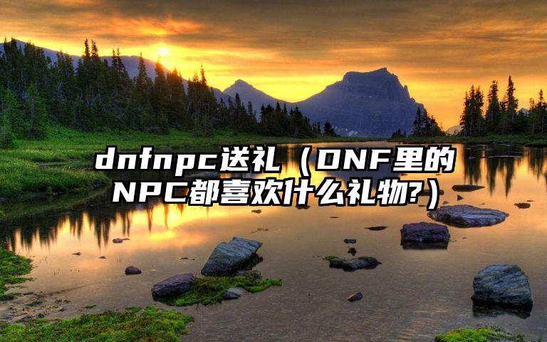 dnfnpc送礼（DNF里的NPC都喜欢什么礼物?）