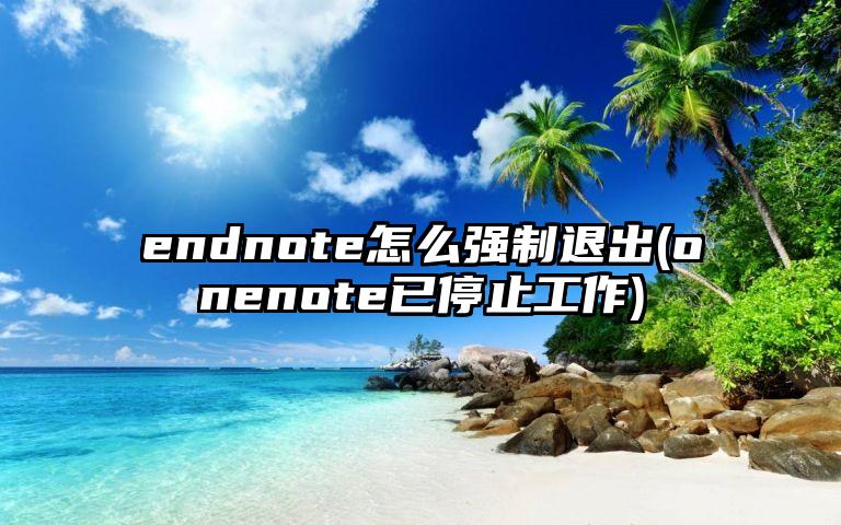 endnote怎么强制退出(onenote已停止工作)