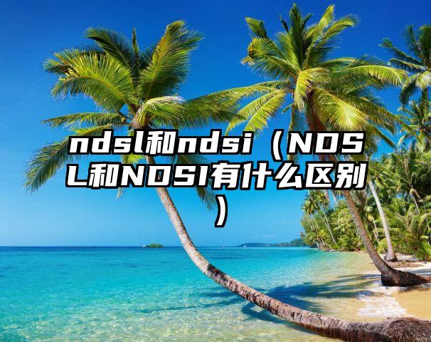 ndsl和ndsi（NDSL和NDSI有什么区别）