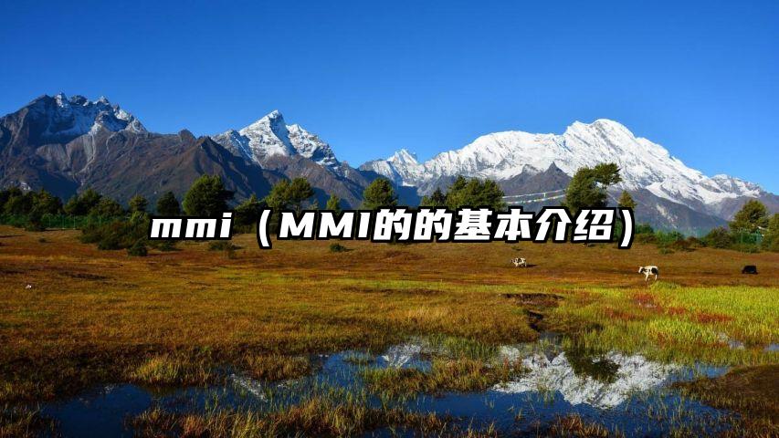 mmi（MMI的的基本介绍）