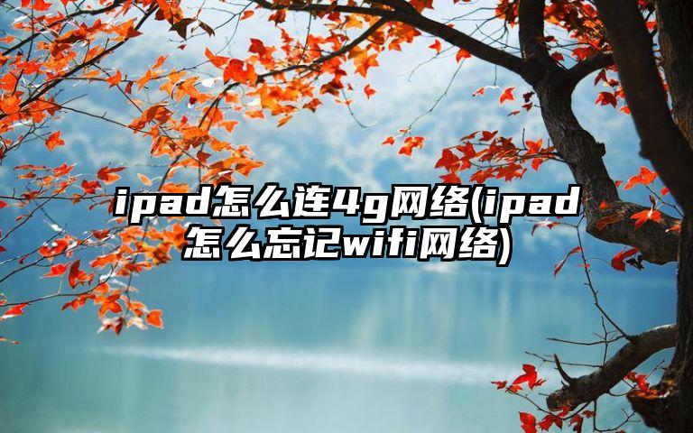 ipad怎么连4g网络(ipad怎么忘记wifi网络)