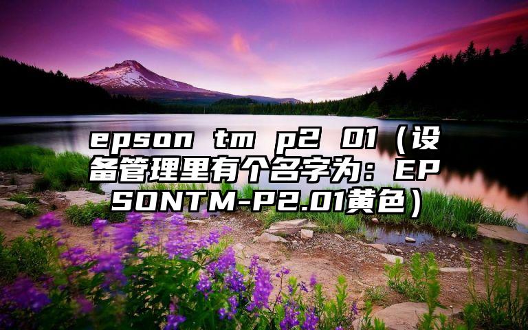 epson tm p2 01（设备管理里有个名字为：EPSONTM-P2.01黄色）