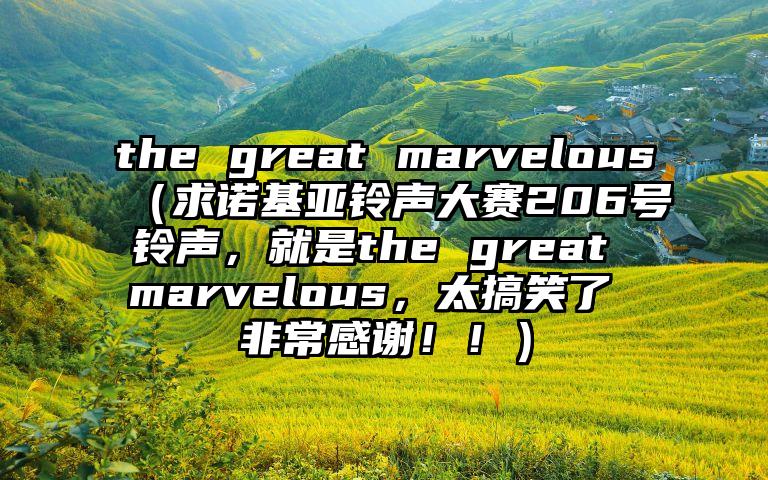 the great marvelous（求诺基亚铃声大赛206号铃声，就是the great marvelous，太搞笑了 非常感谢！！）