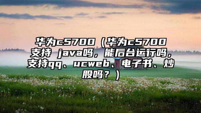 华为c5700（华为c5700支持 java吗，能后台运行吗，支持qq、ucweb、电子书、炒股吗？）