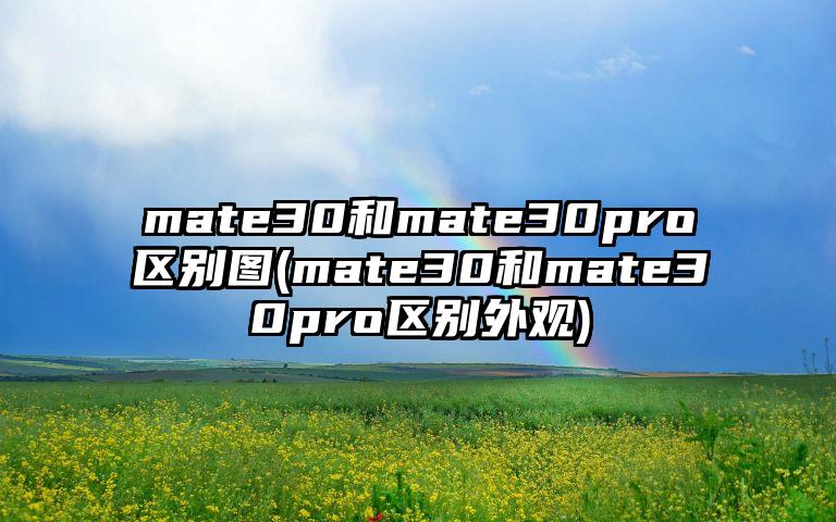 mate30和mate30pro区别图(mate30和mate30pro区别外观)