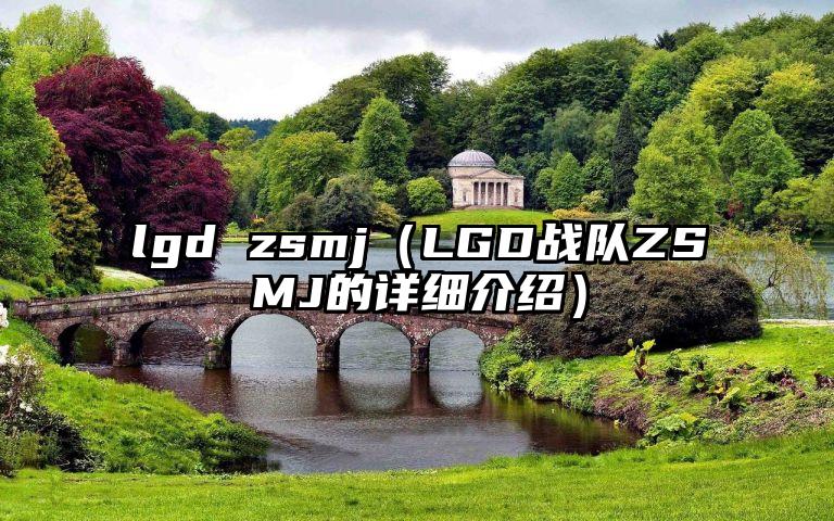 lgd zsmj（LGD战队ZSMJ的详细介绍）