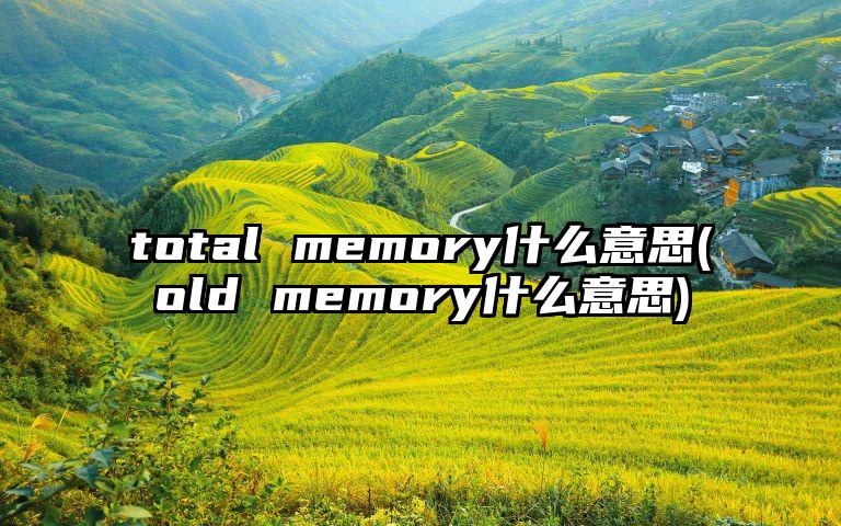 total memory什么意思(old memory什么意思)