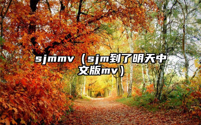 sjmmv（sjm到了明天中文版mv）