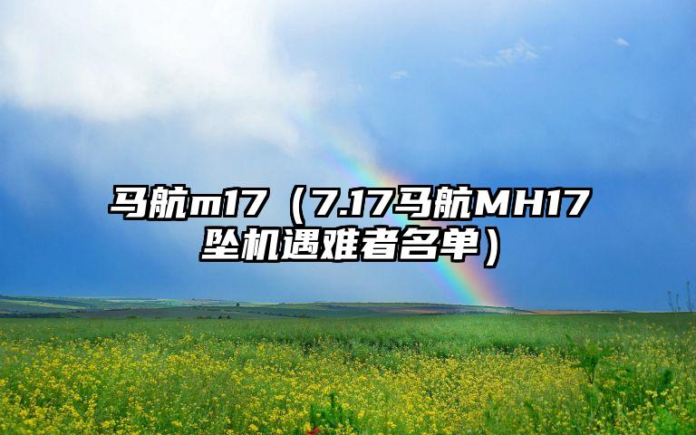 马航m17（7.17马航MH17坠机遇难者名单）