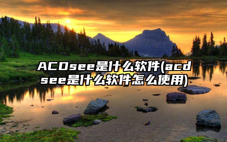 ACDsee是什么软件(acdsee是什么软件怎么使用)