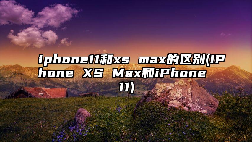 iphone11和xs max的区别(iPhone XS Max和iPhone 11)