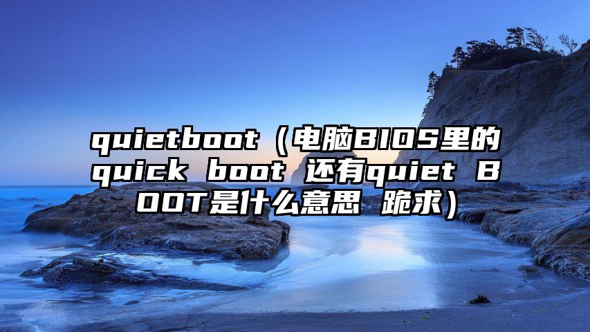 quietboot（电脑BIOS里的quick boot 还有quiet BOOT是什么意思 跪求）