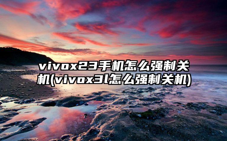 vivox23手机怎么强制关机(vivox3l怎么强制关机)