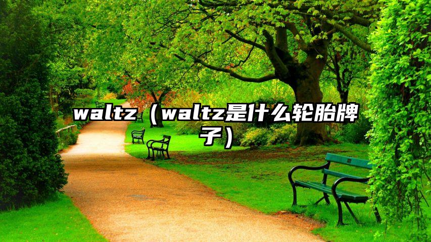 waltz（waltz是什么轮胎牌子）
