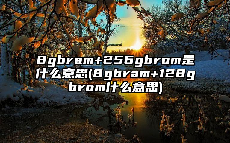 8gbram+256gbrom是什么意思(8gbram+128gbrom什么意思)