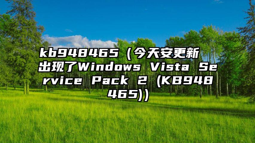 kb948465（今天安更新  出现了Windows Vista Service Pack 2 (KB948465)）