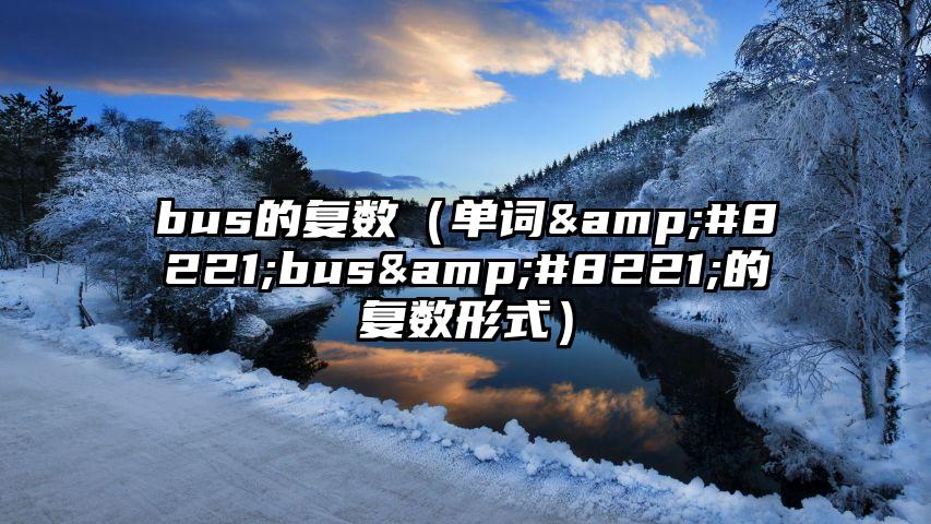 bus的复数（单词&#8221;bus&#8221;的复数形式）